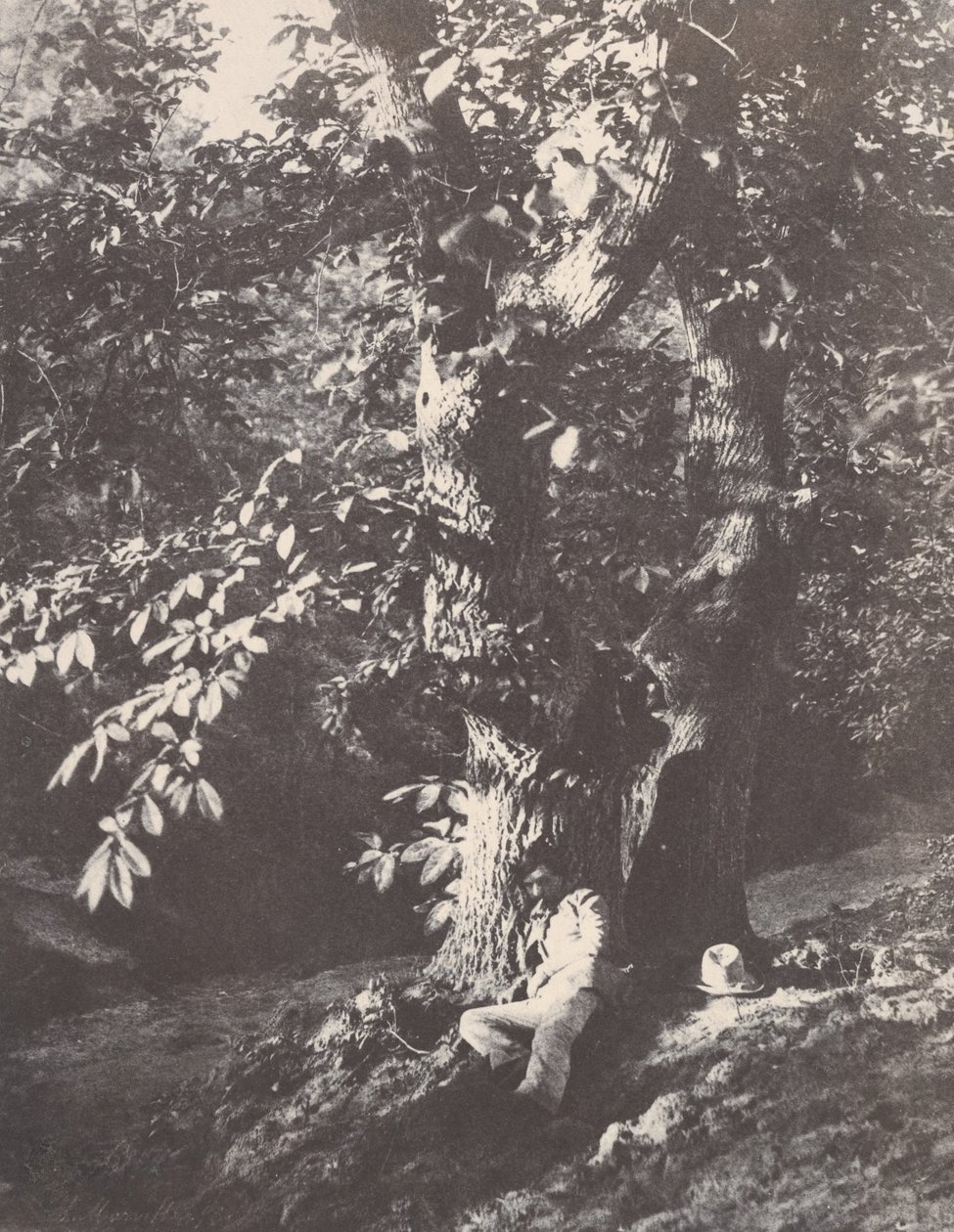 躺在栗子树脚下的男子，1850-53年。 作者 查尔斯·马维尔