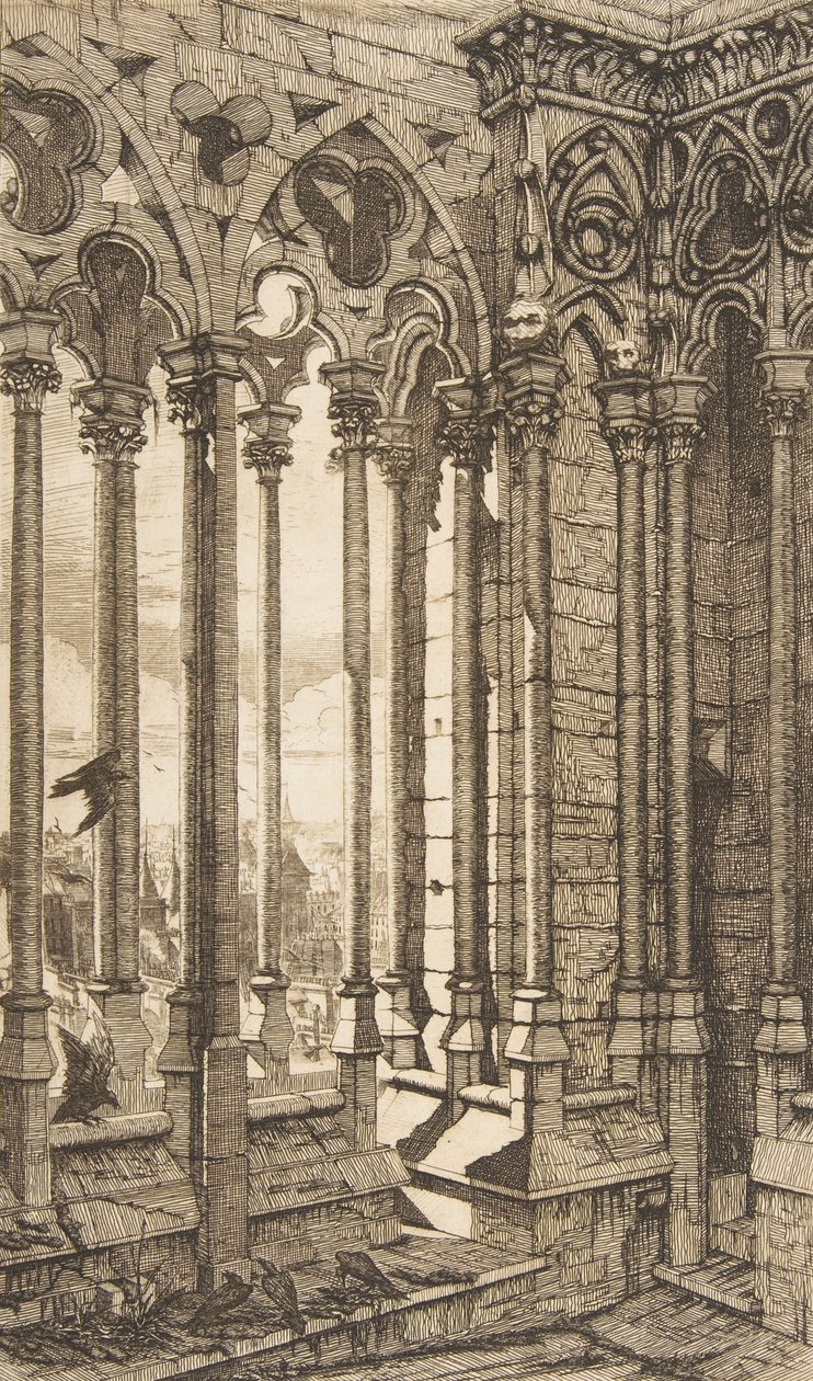 画廊，Nôtre-Dame大教堂，巴黎，1853年。 作者 查尔斯·梅里昂