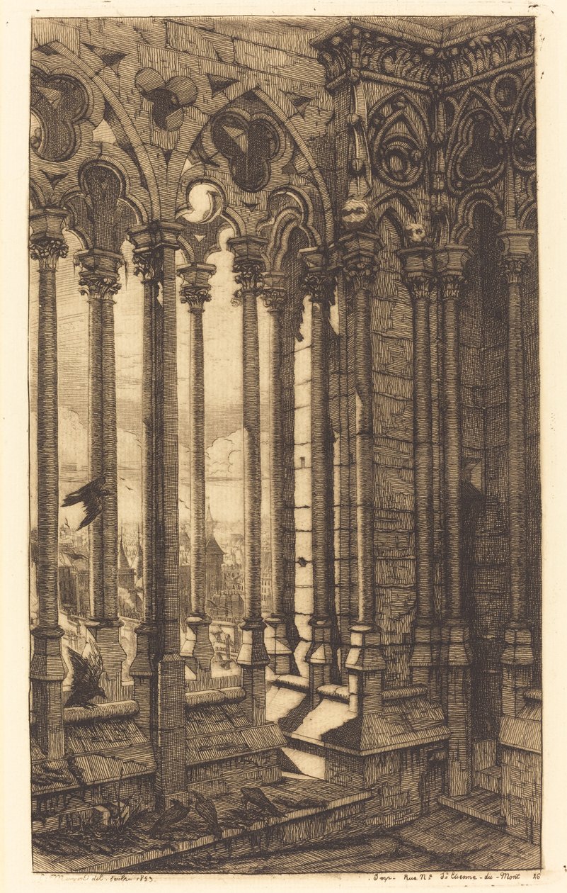 La galerie Notre-Dame, Paris（巴黎圣母院画廊）。 作者 查尔斯·梅里昂