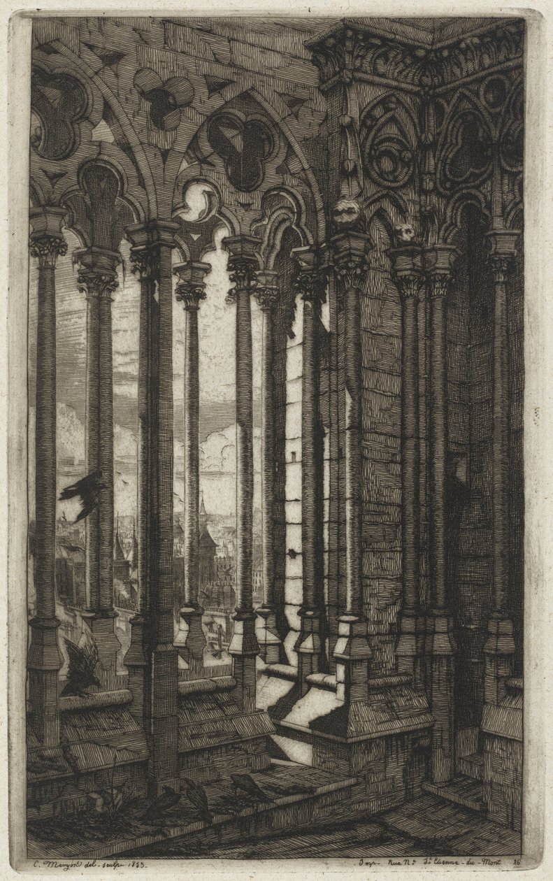 La galerie Notre-Dame, Paris（巴黎圣母院画廊）。 作者 查尔斯·梅里昂