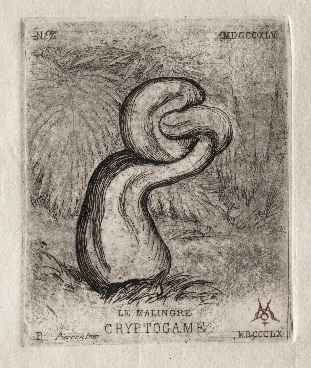 The Sickly Cryptogam，1860年。 作者 查尔斯·梅里昂