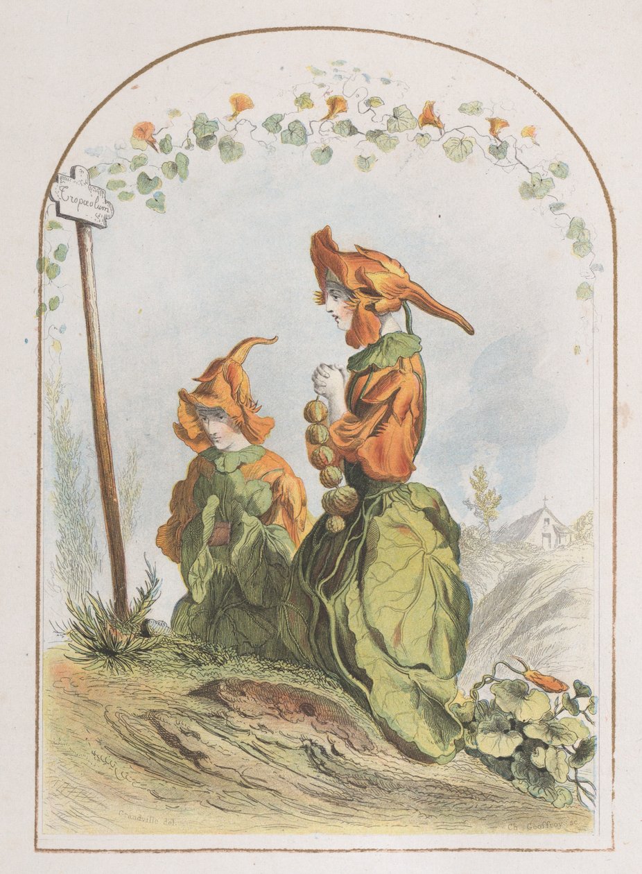 卡普金，来自《动画花》，1820-70，1820-70。 作者 查尔斯·米歇尔·杰弗罗伊
