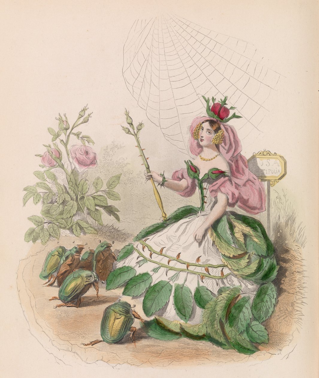 Les Fleurs Animées, 1867年。 作者 查尔斯·米歇尔·杰弗罗伊