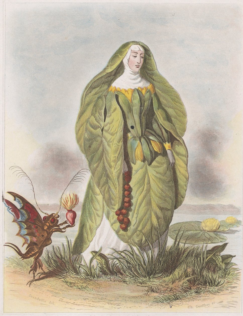 Nenuphar，选自《Fleurs Animées》，1847年。 作者 查尔斯·米歇尔·杰弗罗伊