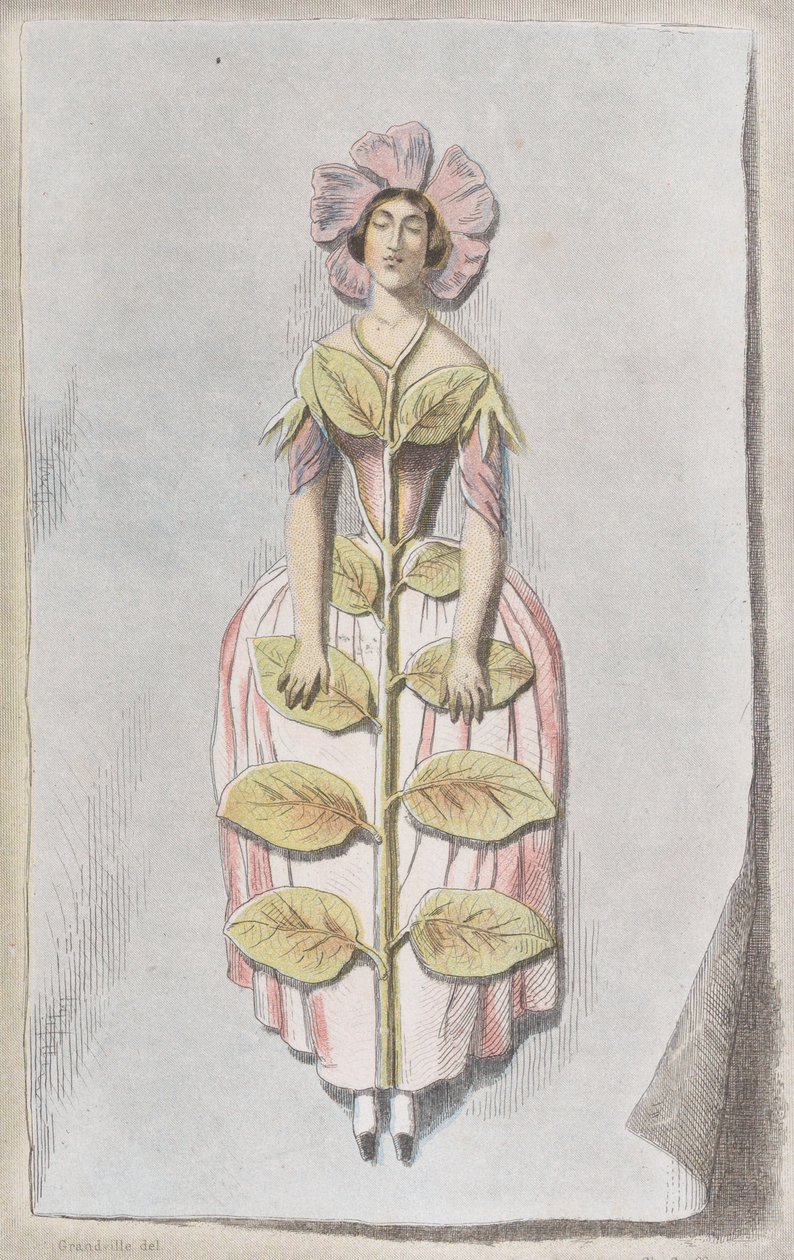 Pervenche Desséchée，来自Les Fleurs Animées，1847。 作者 查尔斯·米歇尔·杰弗罗伊