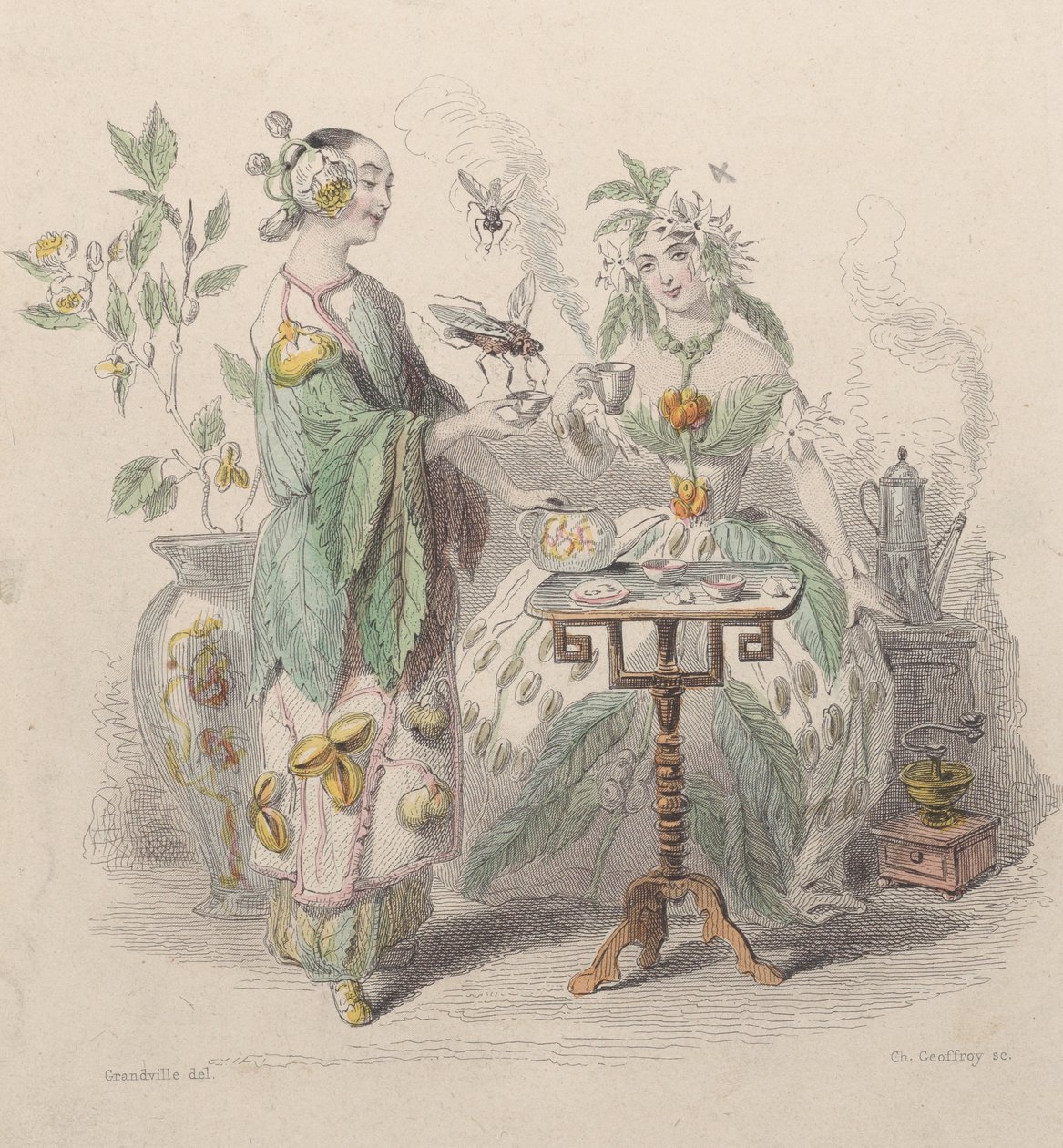 Thé和Café，来自Les Fleurs Animées，1847年。 作者 查尔斯·米歇尔·杰弗罗伊