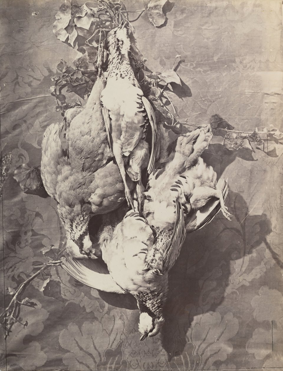 [静物与野鸟]，1859年。 作者 查尔斯·内格雷
