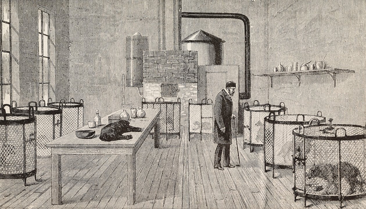 法国巴黎，法国化学家和生物学家路易-巴斯德（1822-1895 年）实验室内笼中的狗，《意大利画报》第 12 年第 46 期 11 月 15 日的版画 作者 查尔斯·保罗（后）雷诺阿德