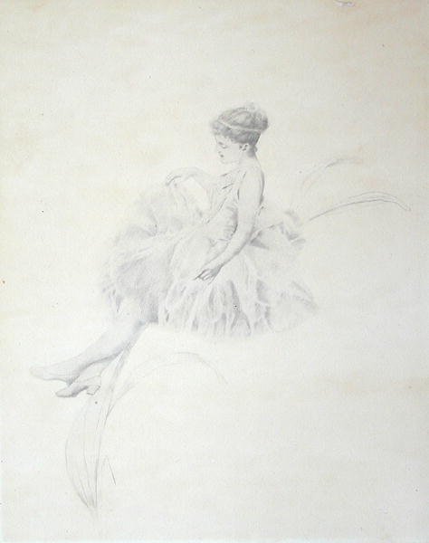 百合花上的仙女（银点） 作者 查尔斯·普罗斯珀·桑顿