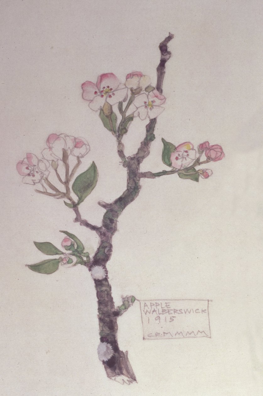 Apple，Walberswick，1915年（铅笔和wc） 作者 查尔斯·雷尼·麦金托什