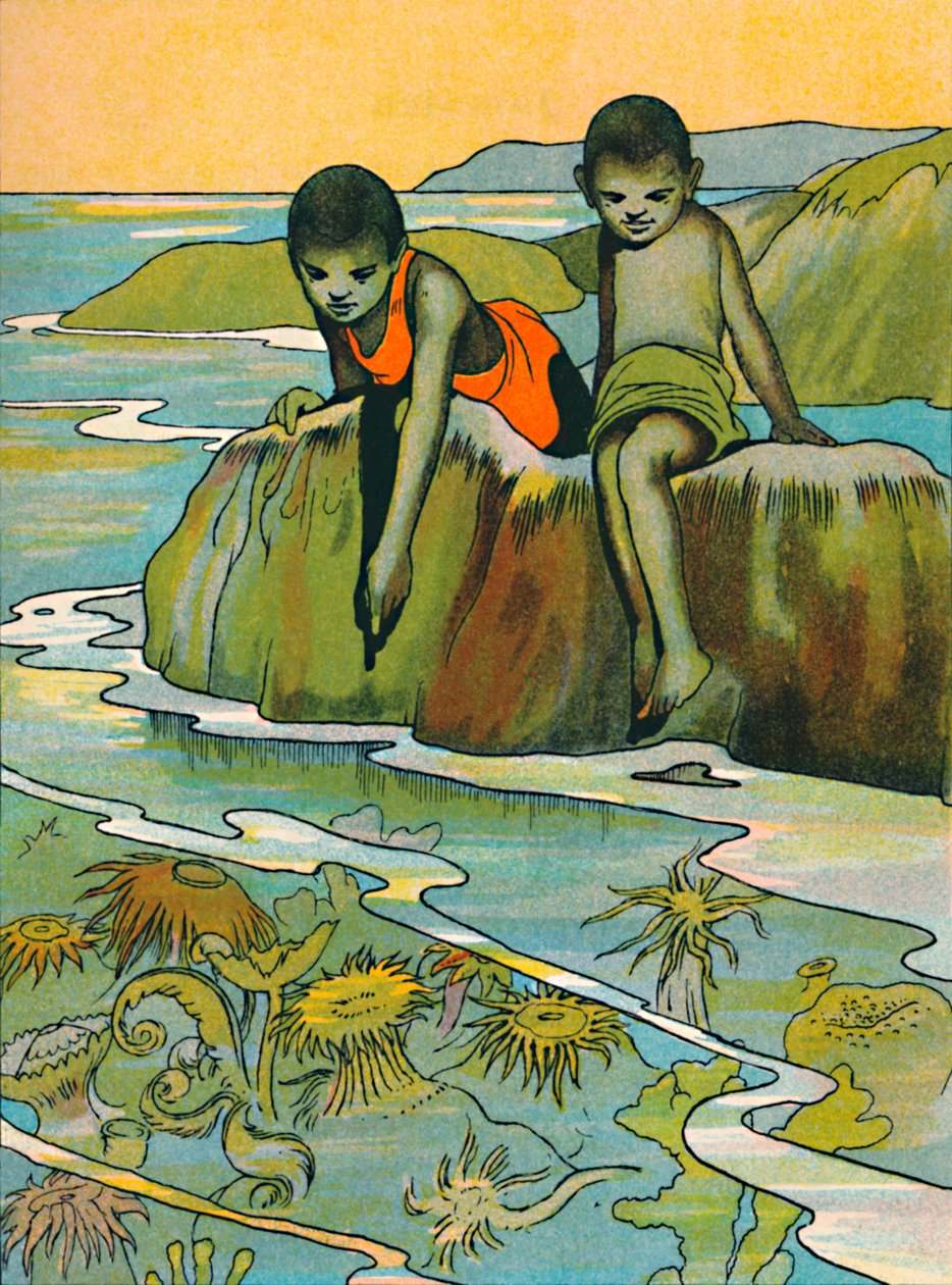 海上花园，1912年 作者 查尔斯·罗宾逊