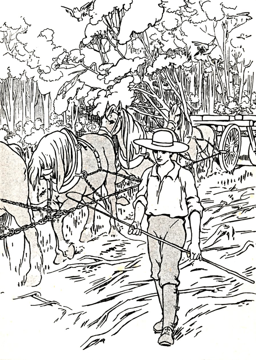 定居者清理土地，1912年 作者 查尔斯·罗宾逊