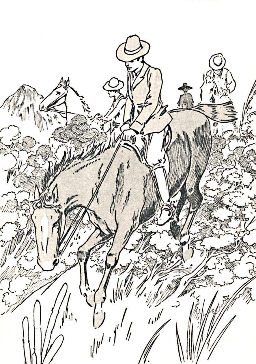 这些动物大多数都在1912年被猎杀 作者 查尔斯·罗宾逊