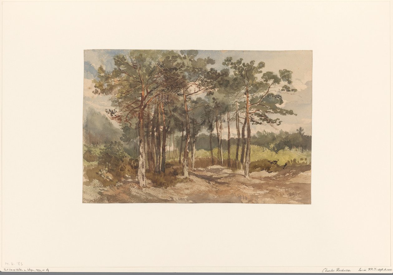 Driebergen 附近树林中的树丛 作者 查尔斯·罗森（Charles Rochussen）