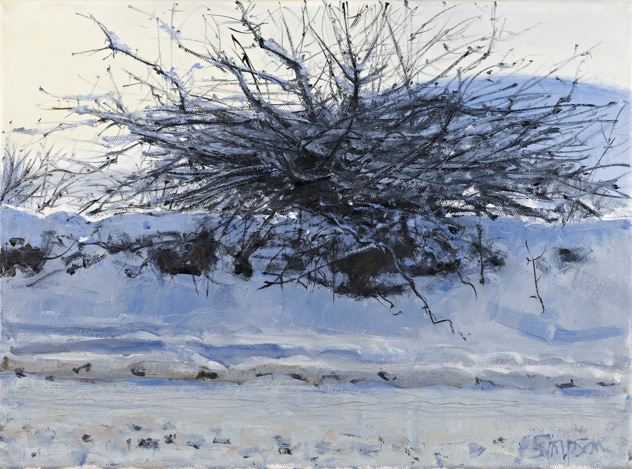 山楂树，2011 年（布面油画） 作者 查尔斯·辛普森