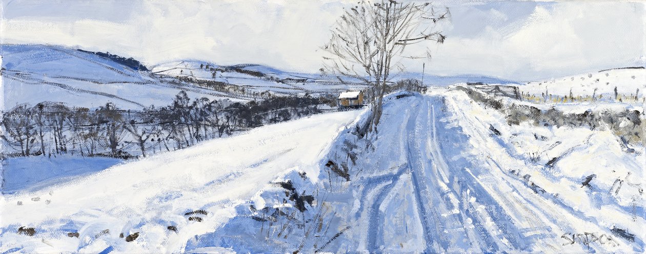 冬季山谷》，2011 年（布面油画） 作者 查尔斯·辛普森