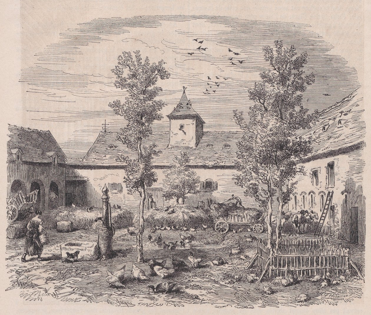 农场内景，摘自《皮托雷斯克杂志》，约1852年。 作者 查尔斯·塔米西耶