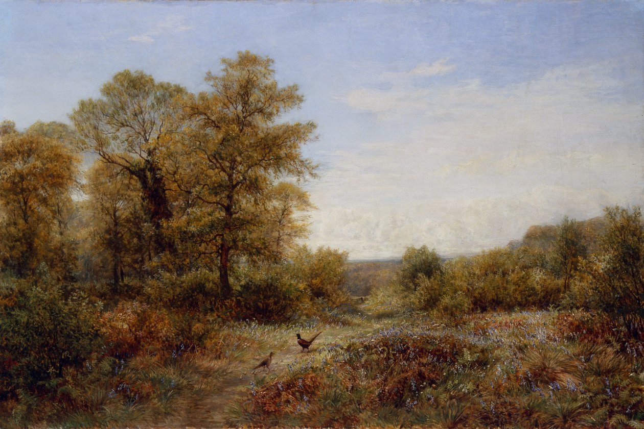  作者 查尔斯·托马斯·伯特