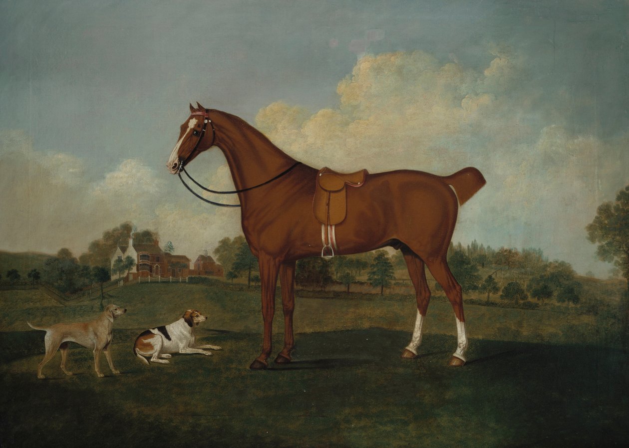 一个海湾猎手，在景观中有两只猎犬，外有一座豪宅，1779年 作者 查尔斯·汤恩