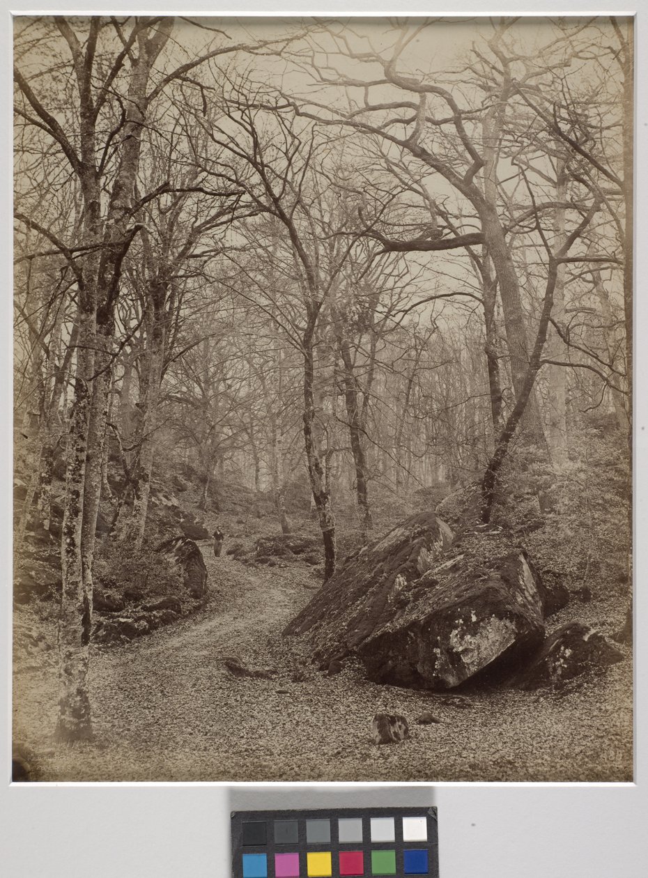 枫丹白露，c.1870（白蛋白印刷） 作者 查尔斯·维克多·法明