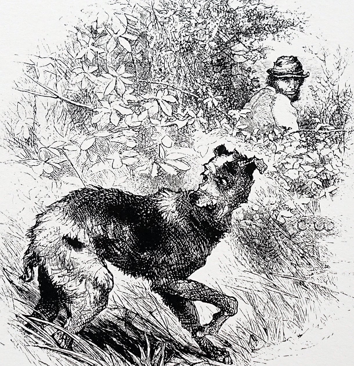 A poacher with his lurcher 作者 查尔斯·怀姆珀