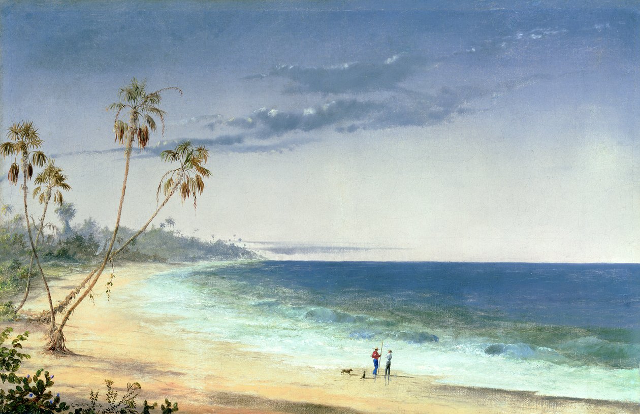 古巴景观，1866年 作者 查尔斯·德·沃尔夫·布朗内尔