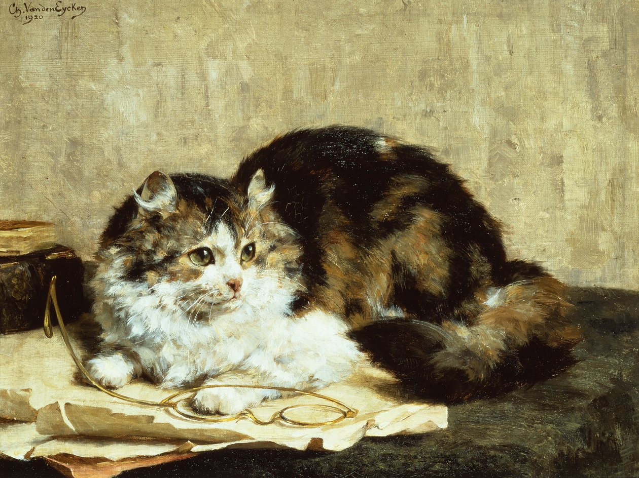 一只虎斑猫 作者 查尔斯·范登艾肯