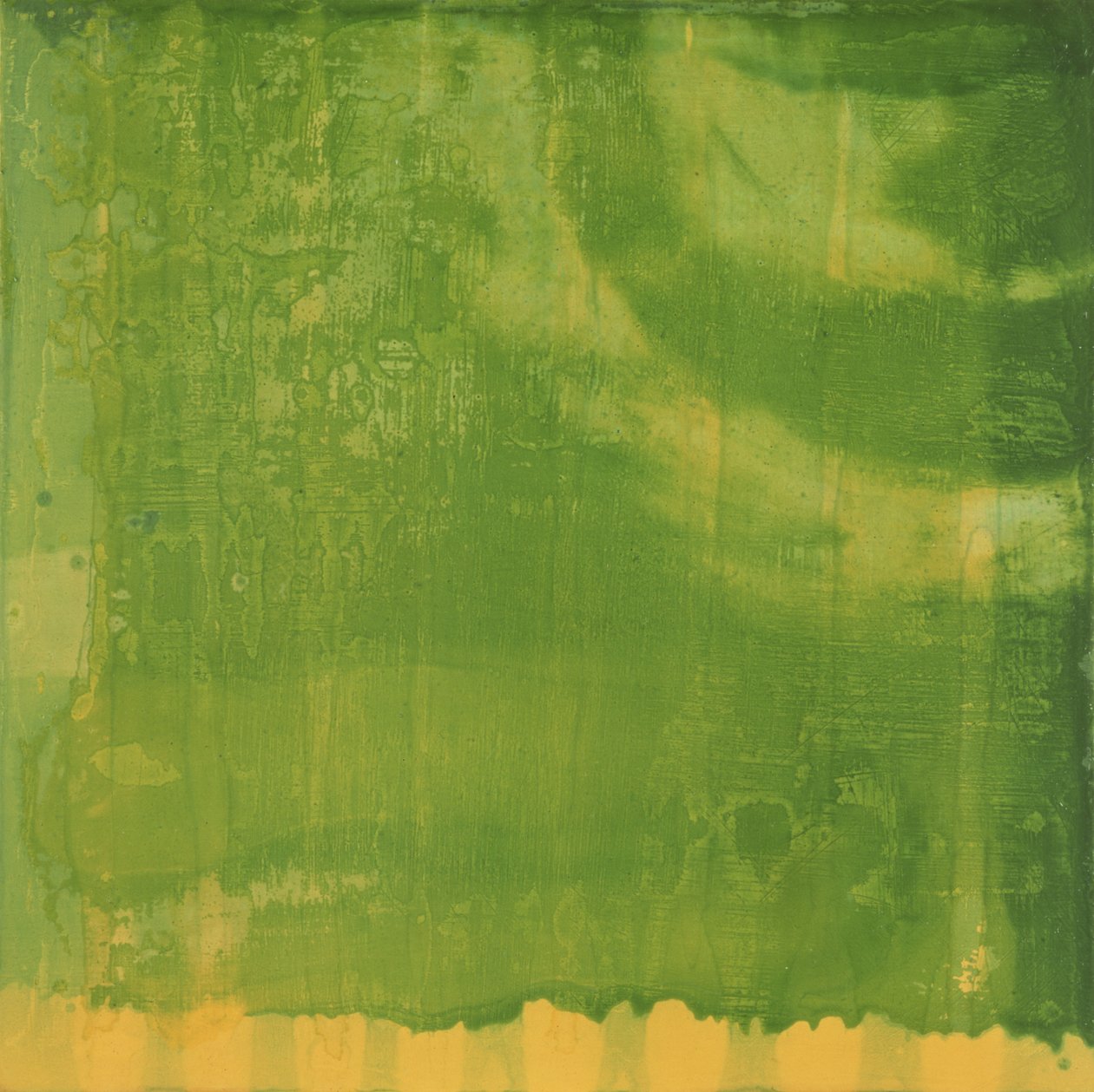 Bluerine Green，1997年（石膏板上的油和釉） 作者 夏洛特·约翰斯通