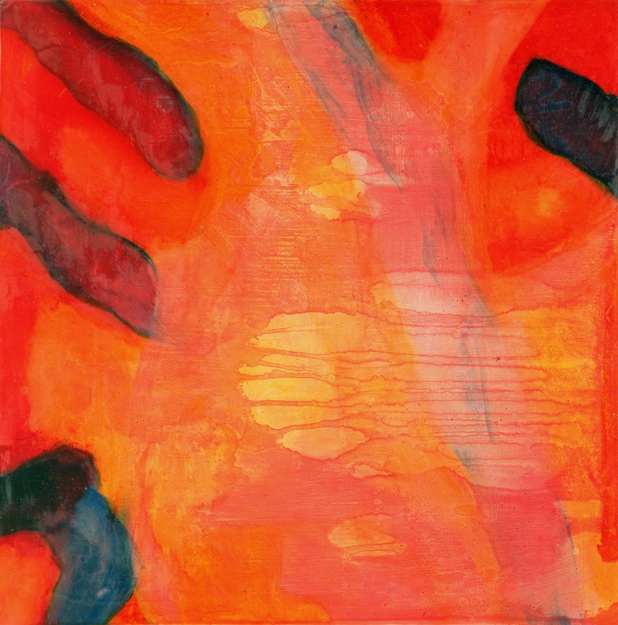 Clown Fish II，1997（石膏板上的油和釉） 作者 夏洛特·约翰斯通