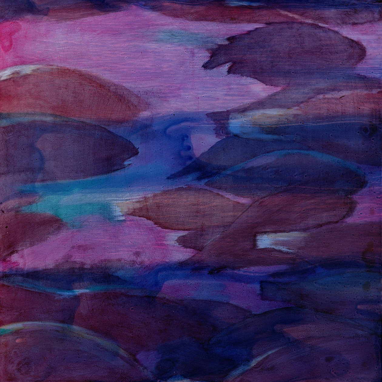 紫鹦鹉VI，2000（石油上的石油） 作者 夏洛特·约翰斯通