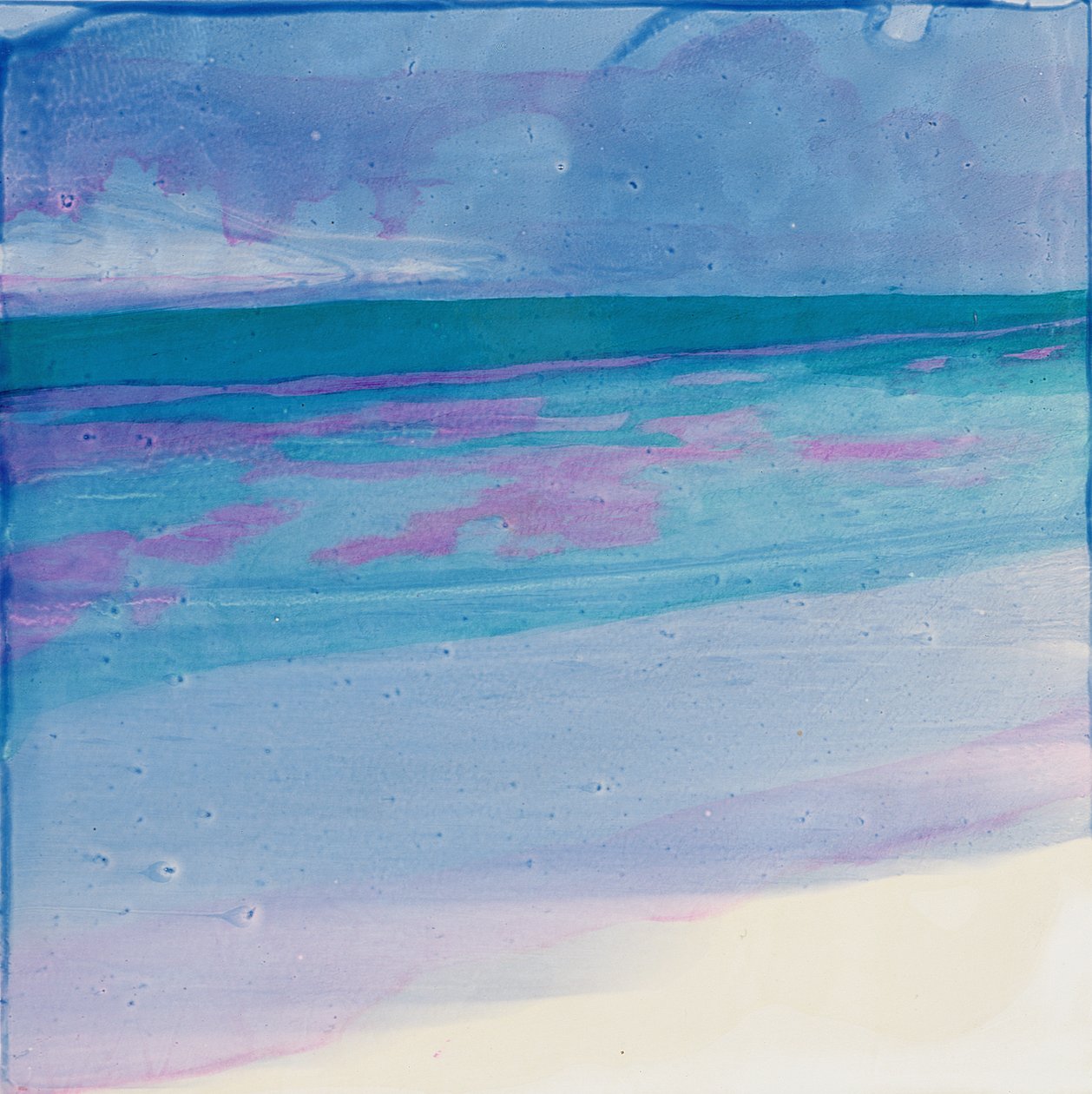 海龟滩，2000年（石油上的石油） 作者 夏洛特·约翰斯通