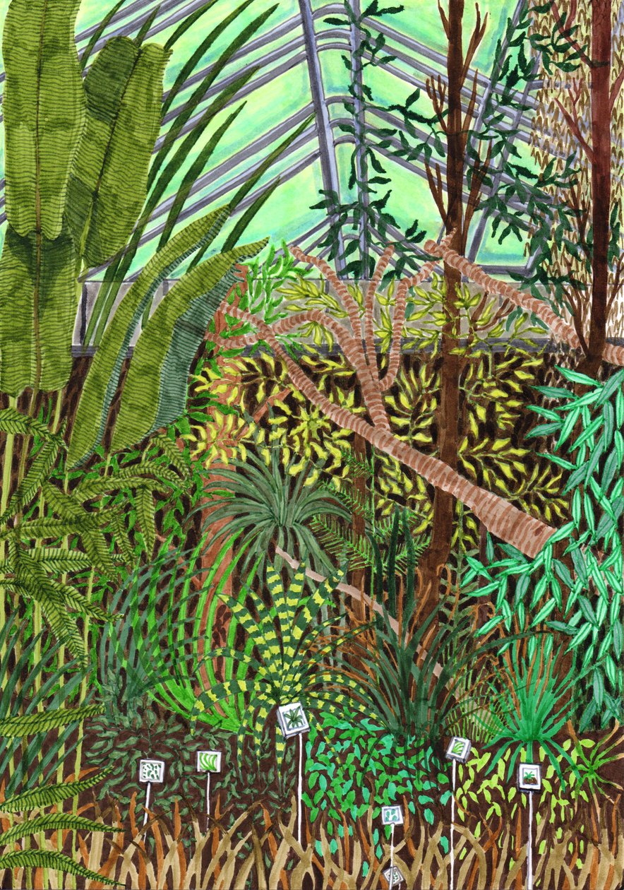 植物园》，2017年（毛笔画）。 作者 夏洛特奥尔