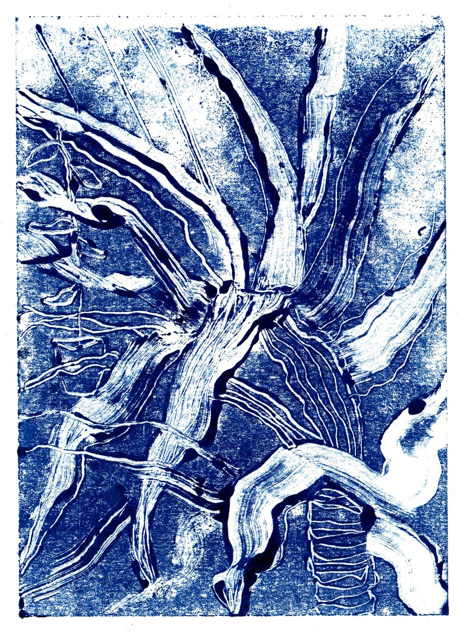 Inky Plants no.2, 2019 (monoprint) 作者 夏洛特奥尔