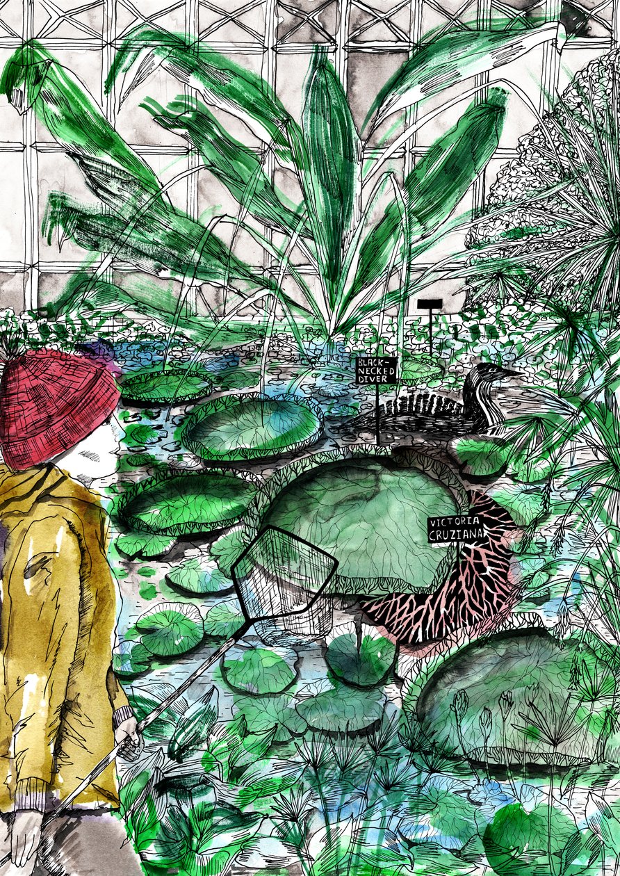 牛津植物园，2020年 作者 夏洛特奥尔