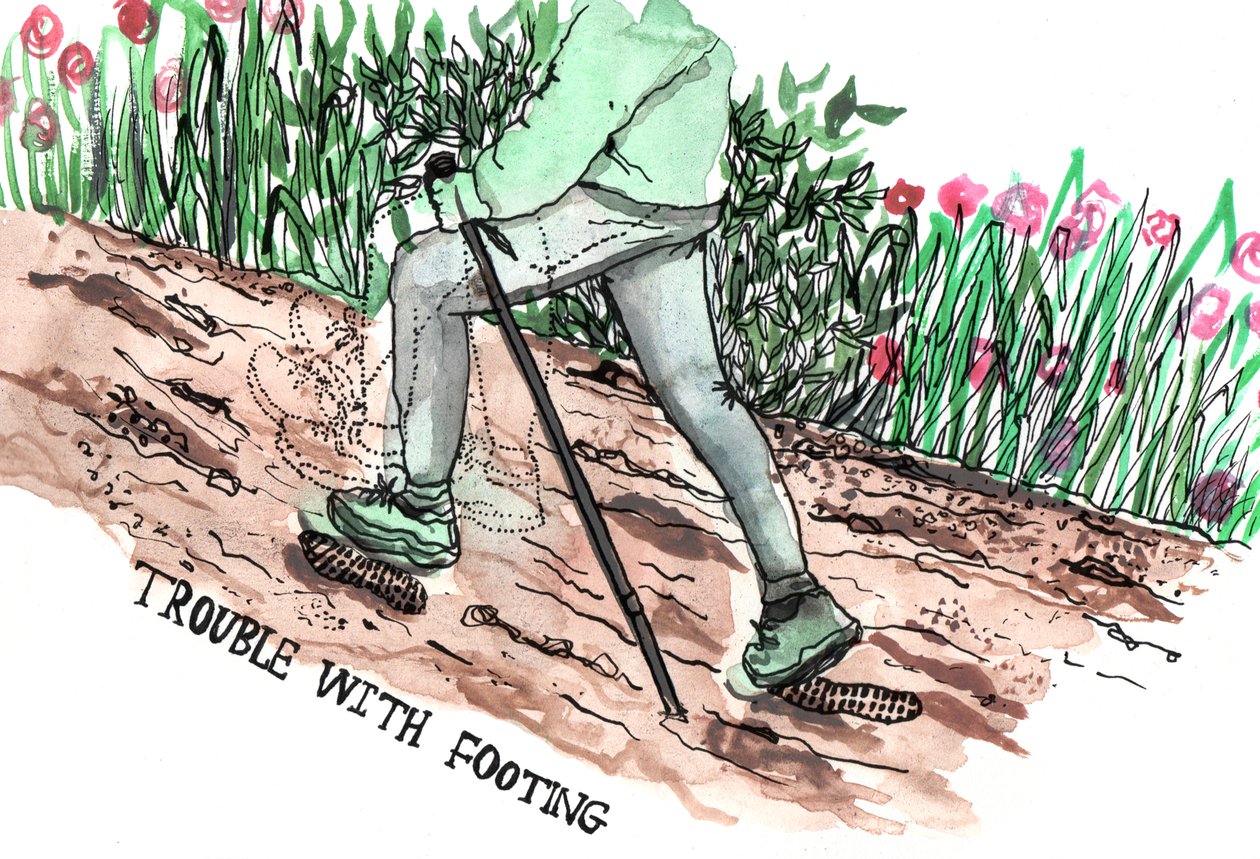 帕金森症插图，2019年（水墨和水彩）。 作者 夏洛特奥尔