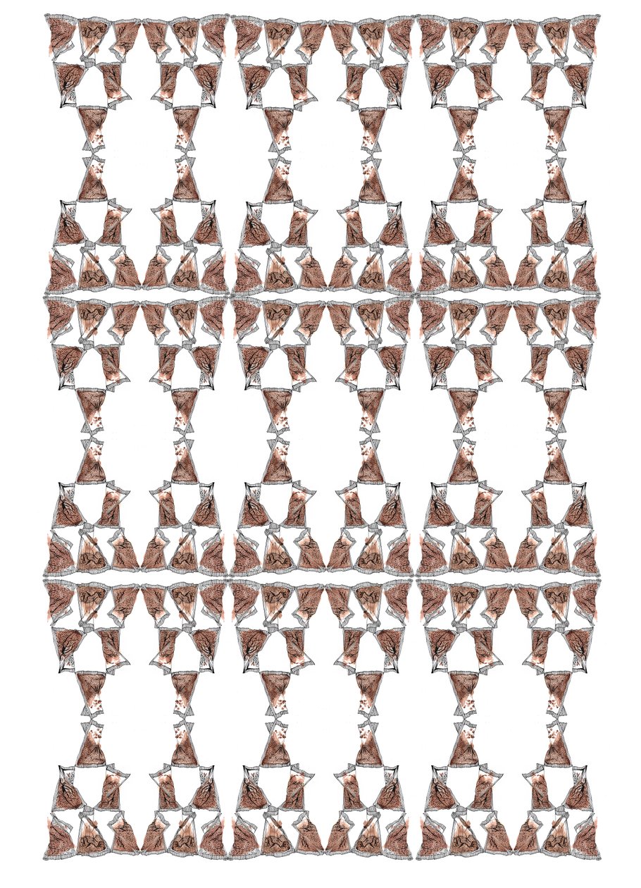 茶叶包装设计，2018（水墨和水彩画） 作者 夏洛特奥尔