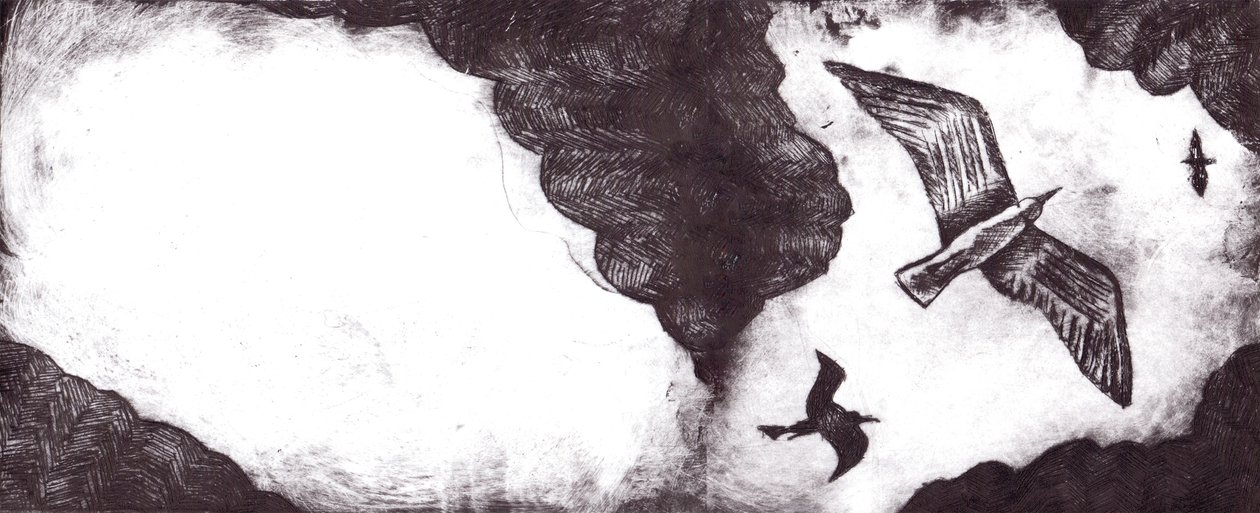 海鸥的故事》，2012年（干点蚀刻画和数字）。 作者 夏洛特奥尔