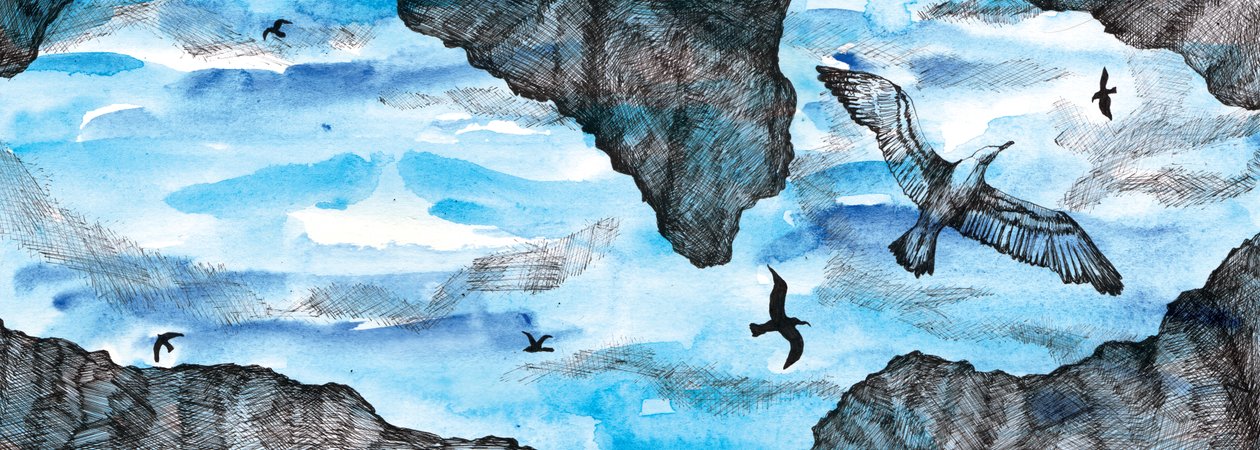 海鸥的故事》，2020年（水彩和钢笔）。 作者 夏洛特奥尔