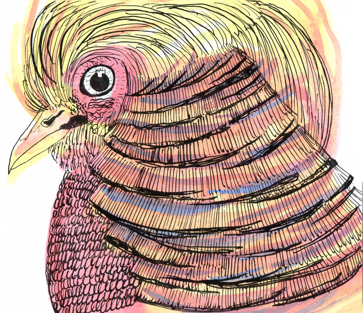 热带鸟，2018（钢笔、墨水和水彩画） 作者 夏洛特奥尔