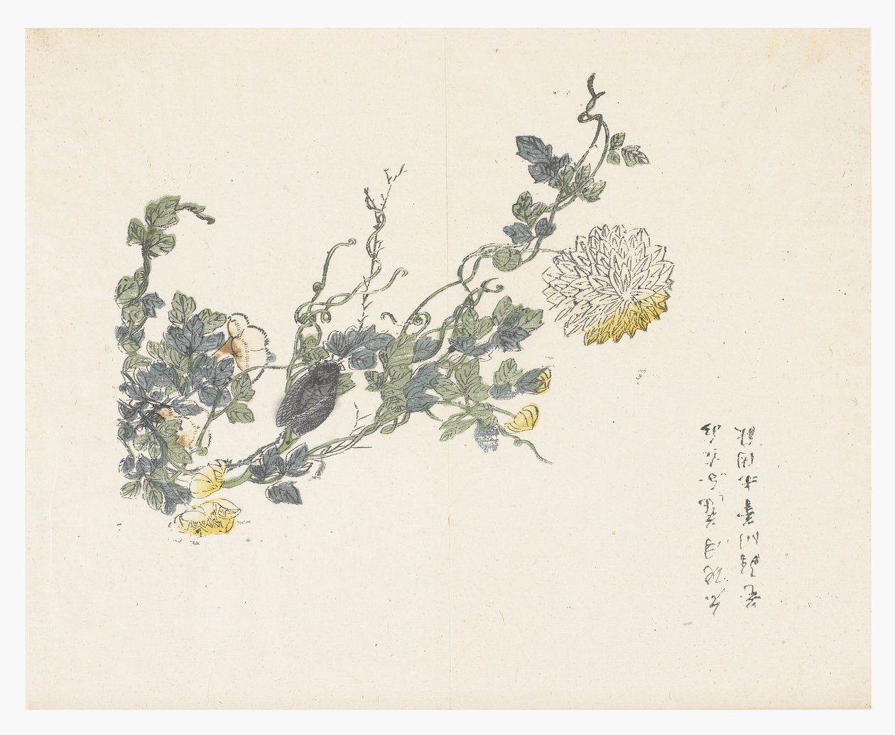 芥子园 作者 陈忠扬（后）
