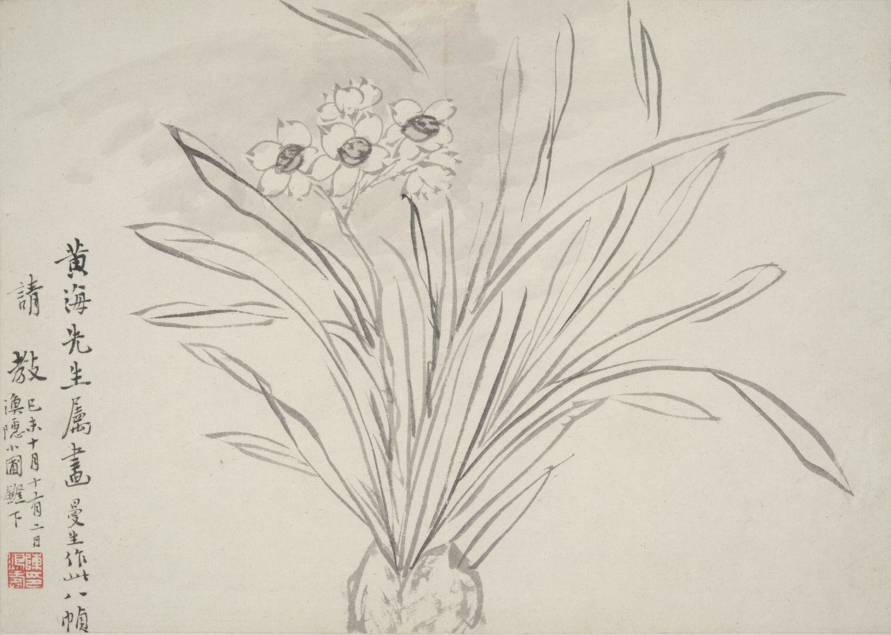 花之相册 作者 陈洪寿