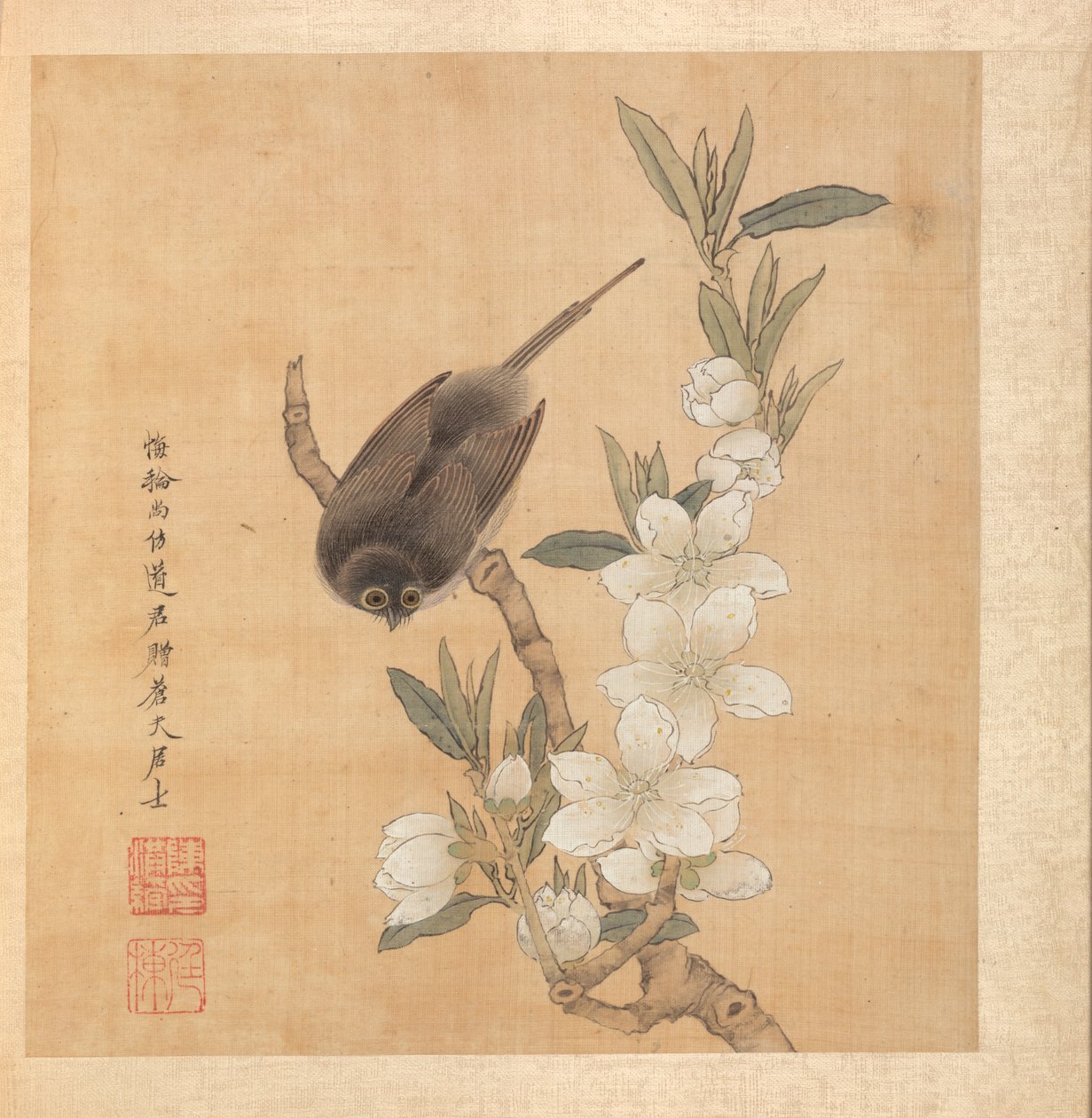 古代大师之后的绘画：鸟和桃花开的分支，1598-1652年。 作者 陈洪寿