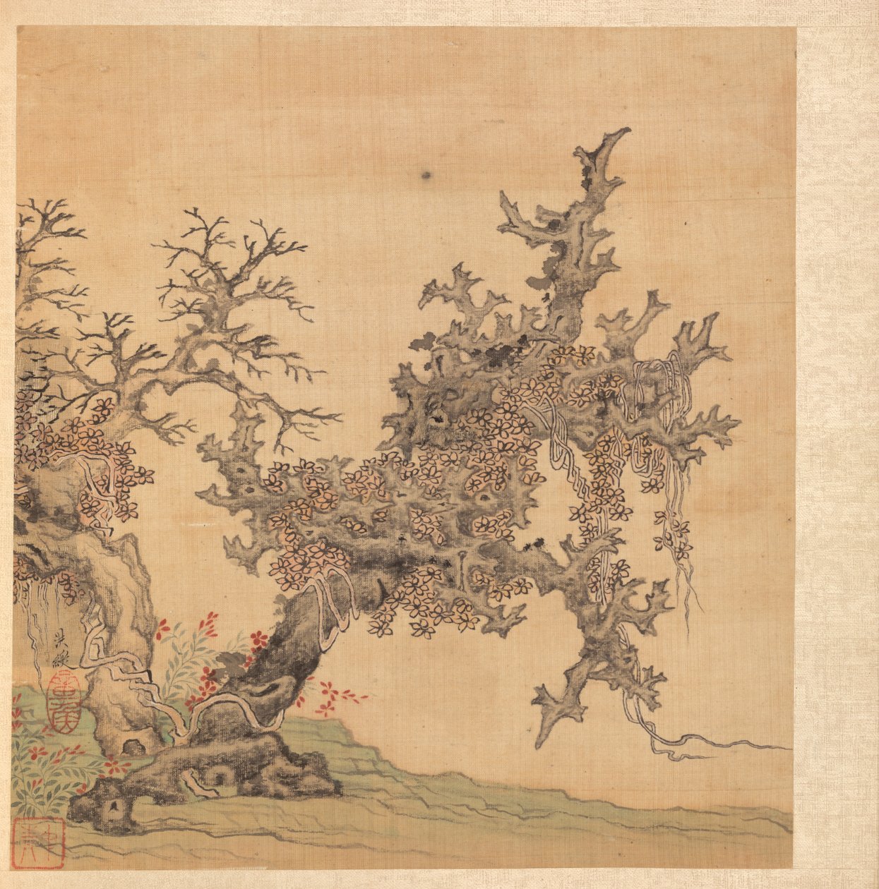 古代大师之后的绘画：一棵古树，1598-1652年。 作者 陈洪寿