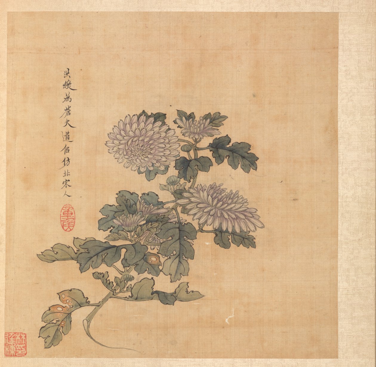 古代大师之后的绘画：菊花，1598-1652年。 作者 陈洪寿