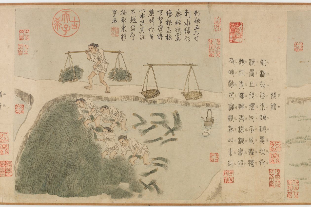 元代稻米（纸上的墨水和颜色） 作者 程琦