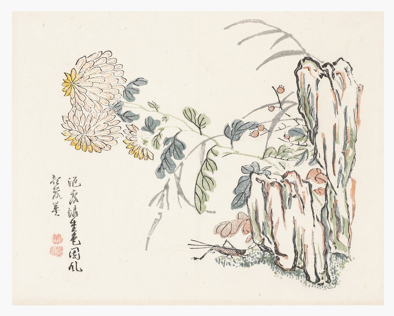 菊花，芥子园
手册 作者 成安（后）