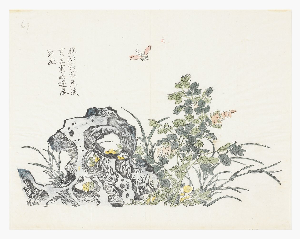 芥菜籽园 作者 郑妙（后）