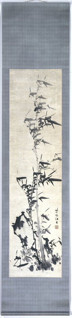 竹子 作者 蒋婷