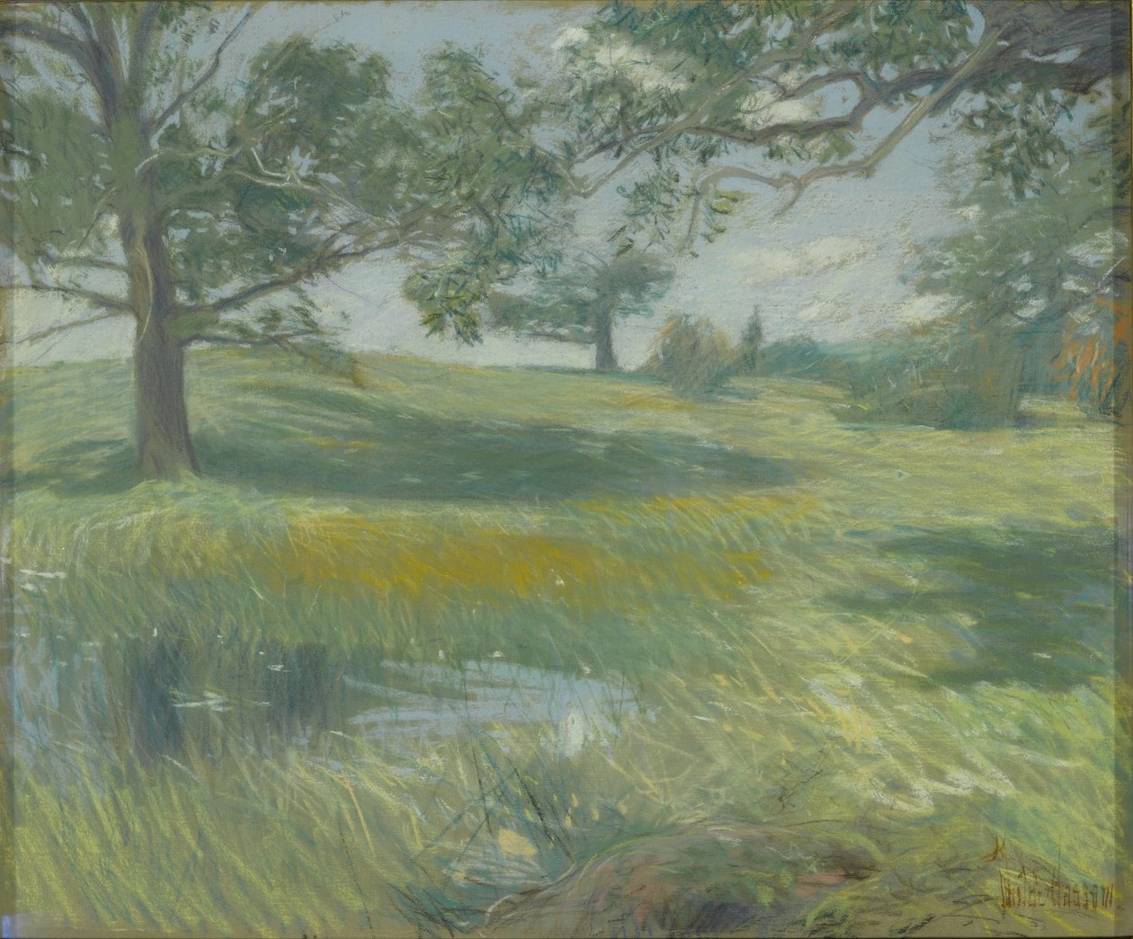 梅多斯，c.1900-10（画布上的粉彩） 作者 柴尔德·弗雷德里克·哈萨姆