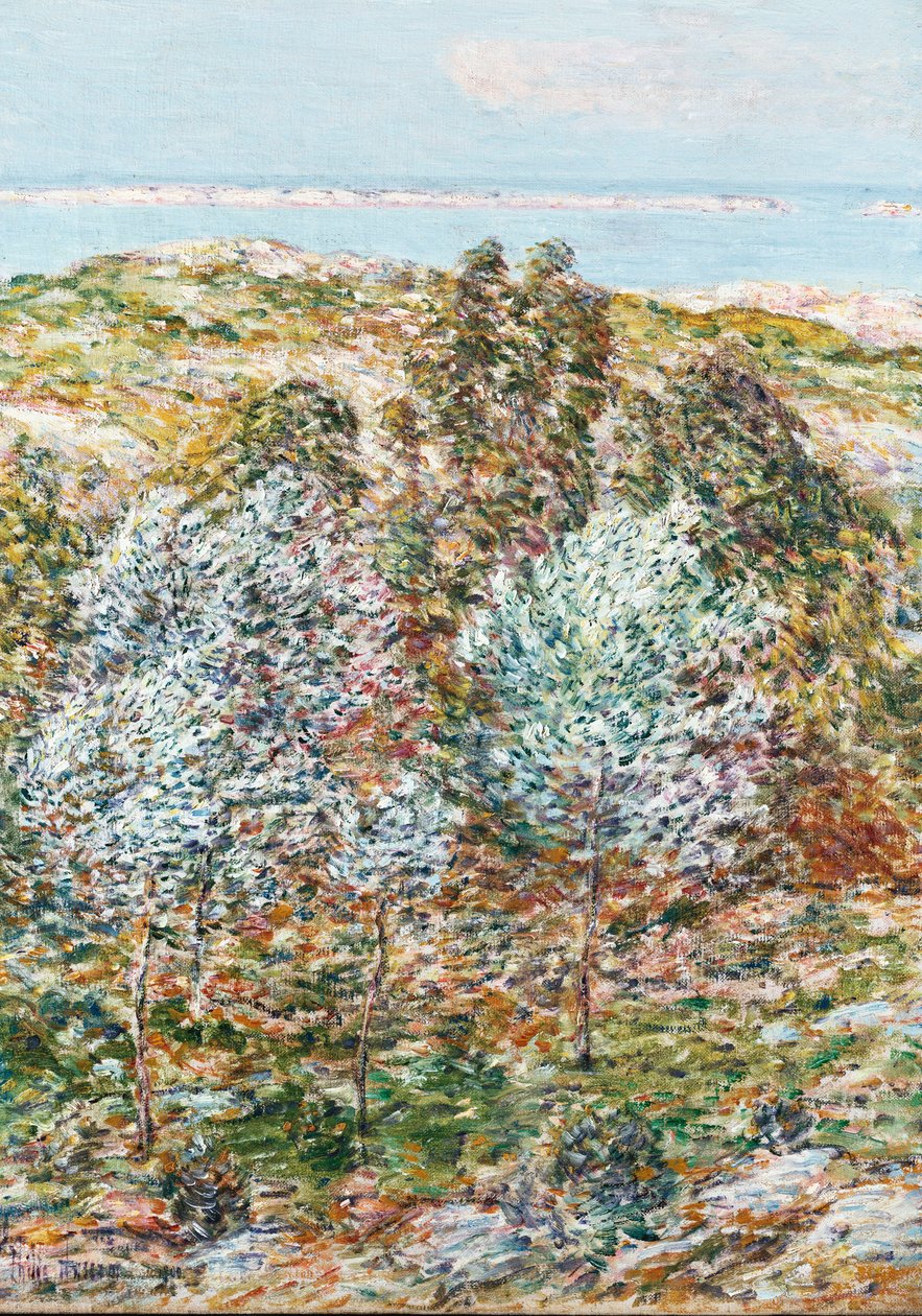 Springtime Vision 作者 柴尔德·弗雷德里克·哈萨姆